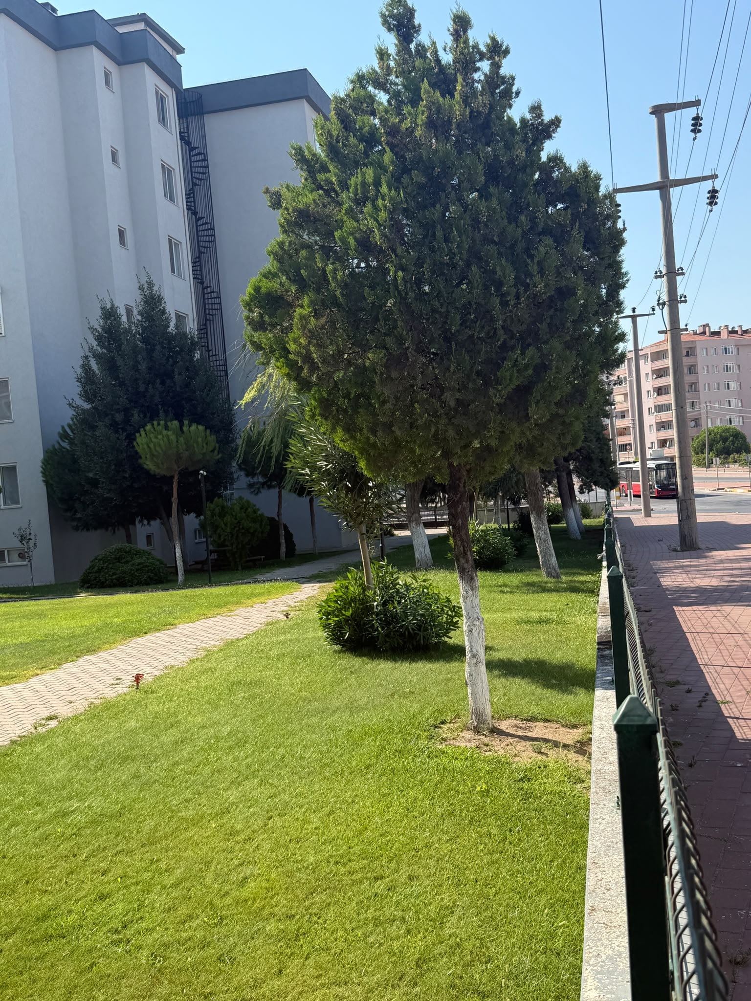 Papatya Sitesi yeşil bahçesi
