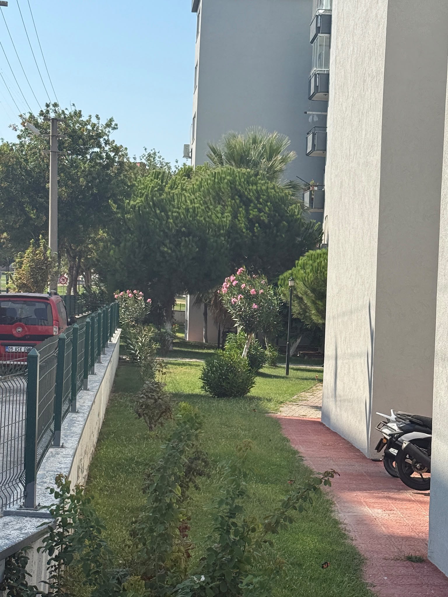 Papatya Sitesi peyzajı ve çiçekleri