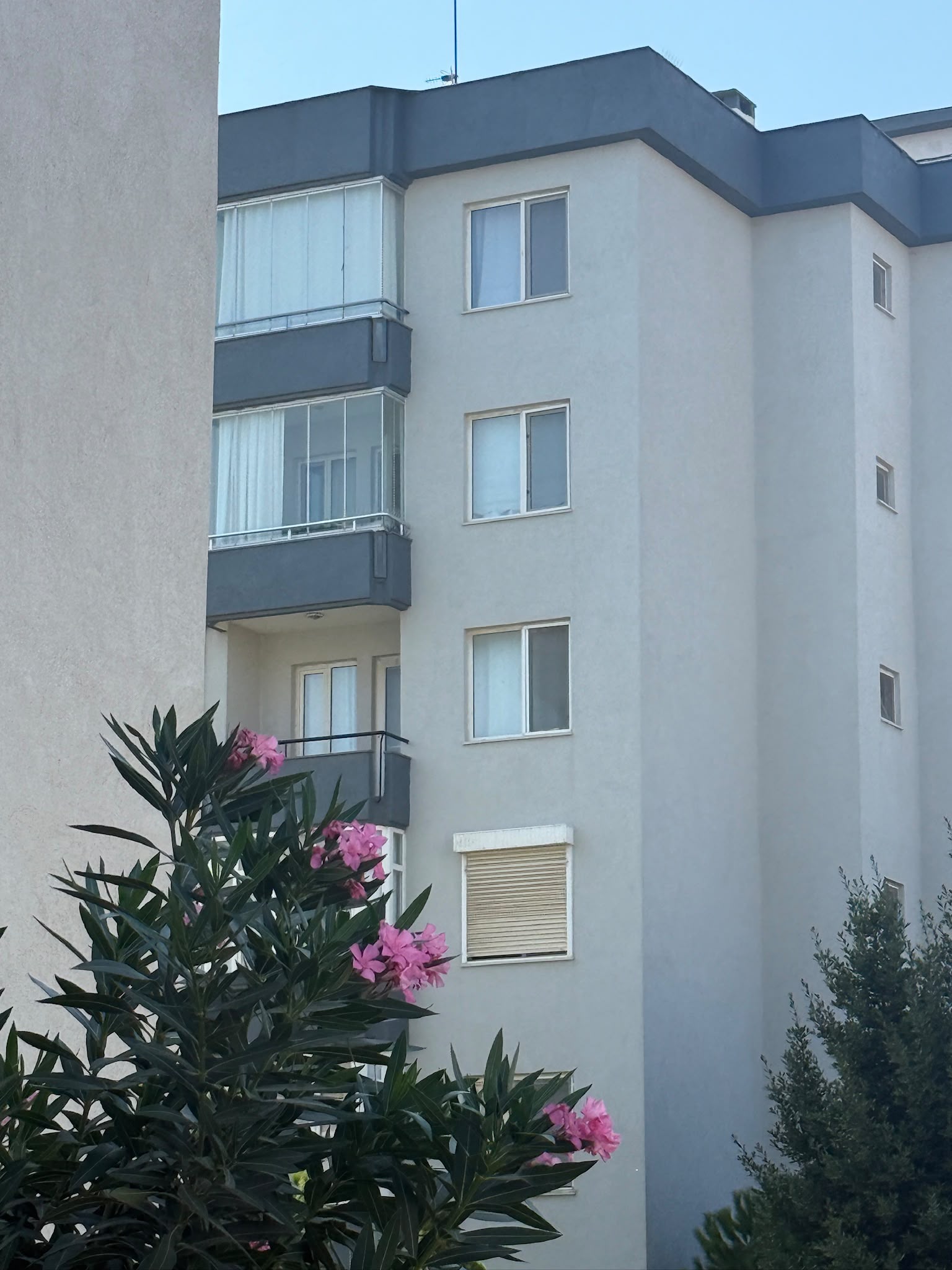 Papatya Sitesi binası ve çiçekler